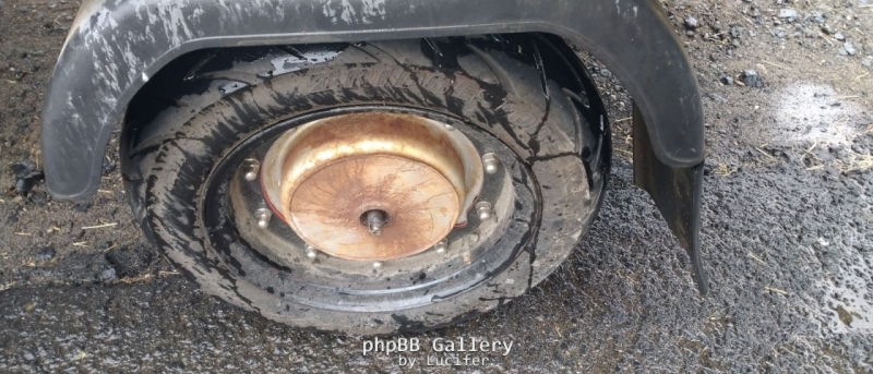 IMG-20190711-WA0005