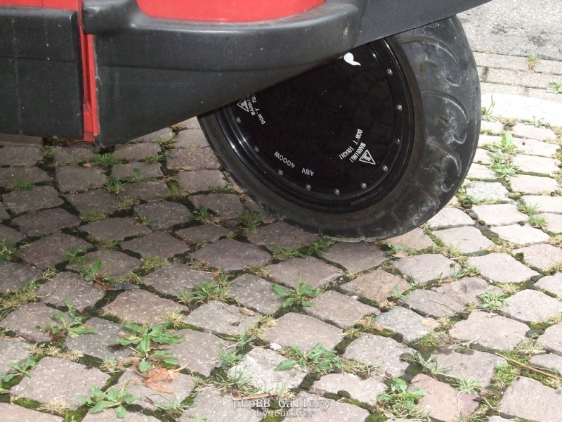 DSCF9973