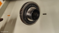 IMG20241003193832