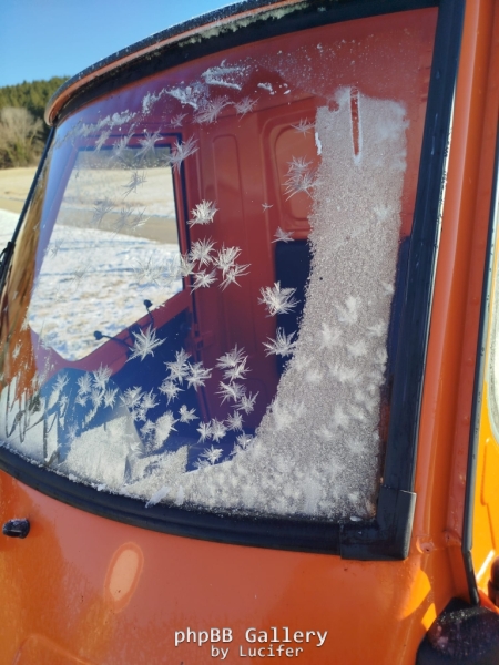 WhatsApp Image 2026-01-03 at 12.25.34