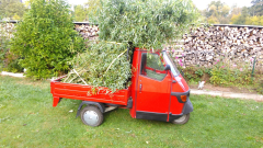 12857271452992470626