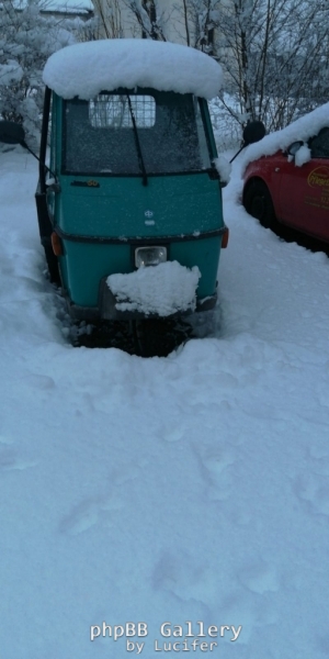 APE im Schnee