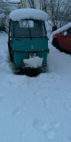 APE im Schnee