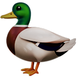 Benutzeravatar